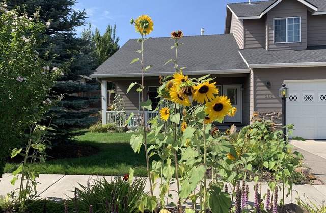 Luxury open concept Vacation Home. Close to downtown ,Old Mill trails & parks.