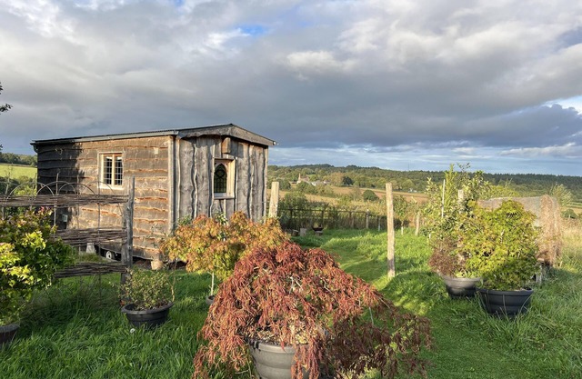 Luxury Shepherd's Hut Style Cabin With Views