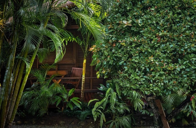 Luxury Staffed 3-bedroom cottage with AC 2 min away from Playa Estillero