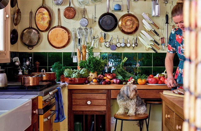 Luxury Vacation Rental | Idyllic Countryside Escape in Provence