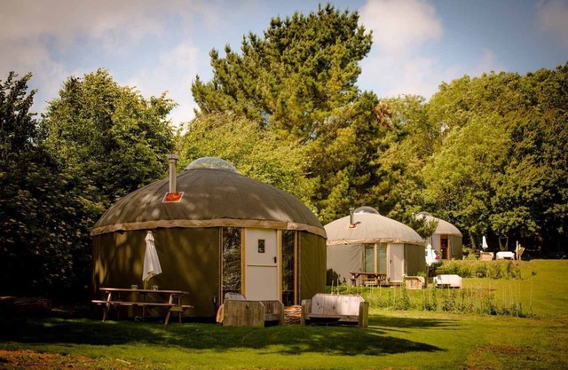 Luxury Yurts on The Garlic Farm sleeping 2 - 6