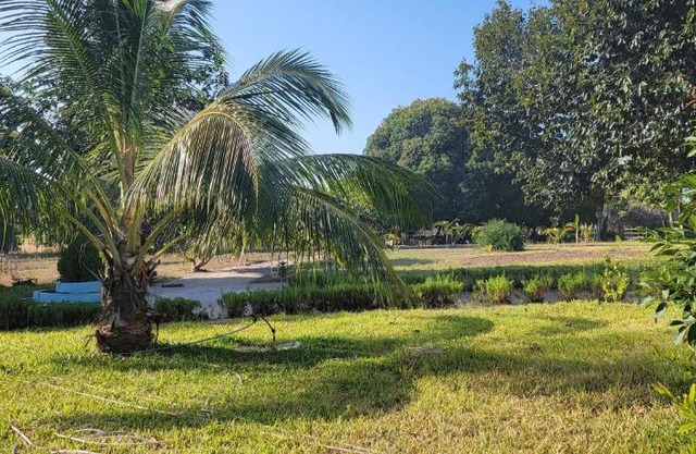 Mafia Fabu Lodge