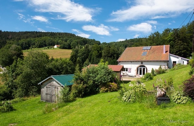 Magnificent cottage, comfort and nature with sauna.