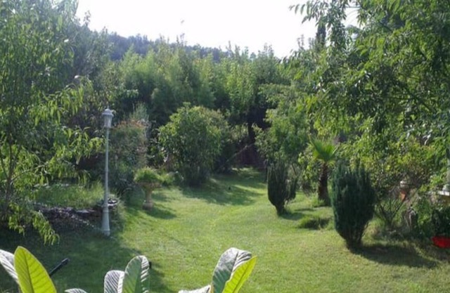 Magnificent villa in a green setting