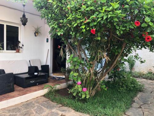 Maison au fond du jardin