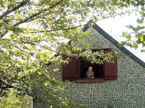 Maison cosy avec jardin, cheminée, Wi-Fi et animaux admis à Willies - FR-1-510-101
