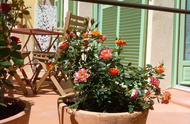Maison de Pêcheurs au Cœur du Cros de Cagnes