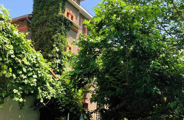 Maison Esmeralda