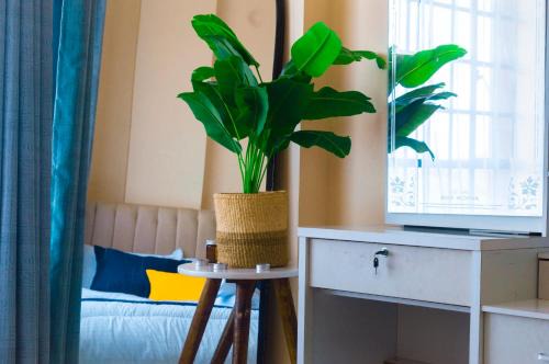 mama ori apartments