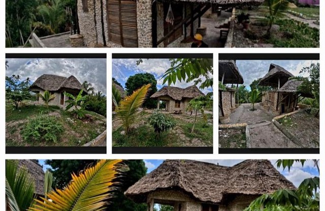 Mange eco lodge