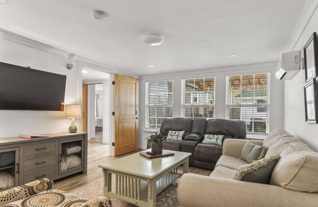 Mangrove - White Mangrove