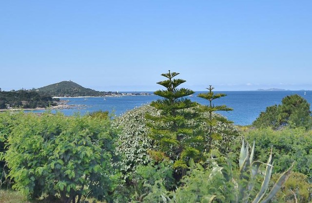 mare noi