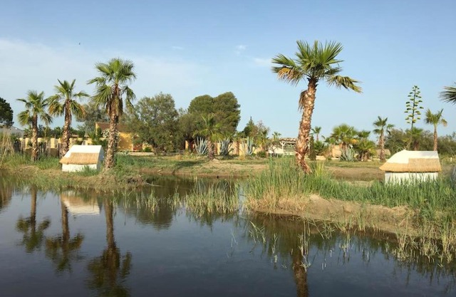 Mas de l isle sauvage aigues mortes