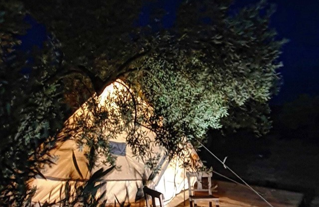 Mavi Kuş