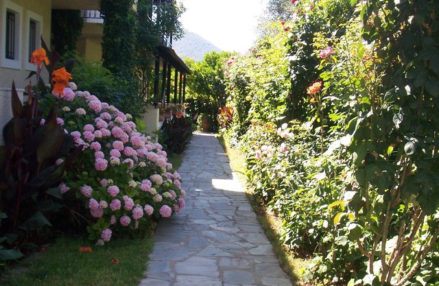 MAYFLOWER GARDEN STUDIO
