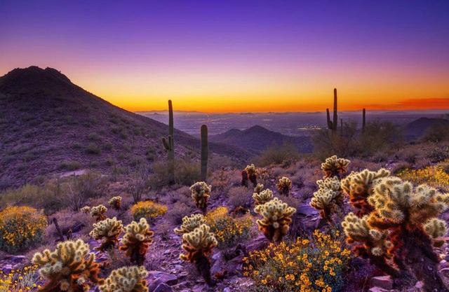 MEDLOCK PLACE GUESTHOUSE