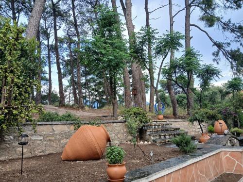 Melody, Ground floor cottage Karlovasi Samos