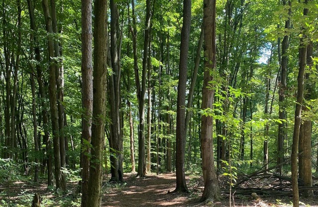 Memory Lane country living 3 miles from the amazing town of Bemus Point!