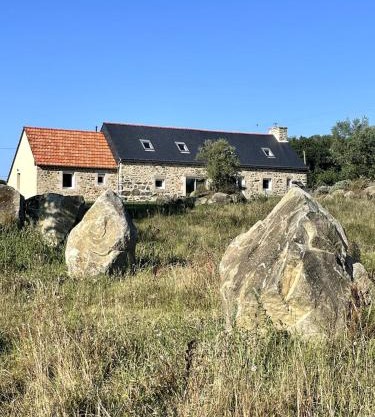 Menhirs et Moutons Ouessant