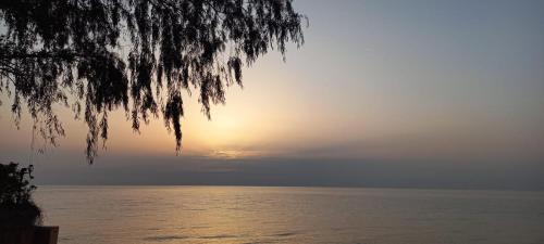 MERT APART HOTEL