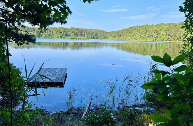 Mid-Century Modern Truro on Great Pond (1914)