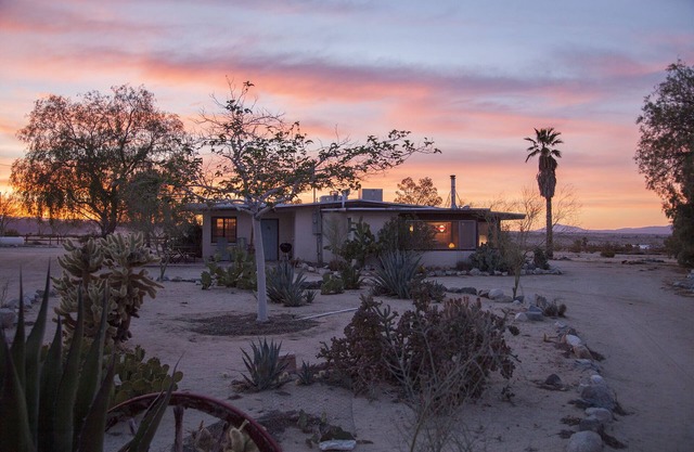 Midcentury Desert Escape
