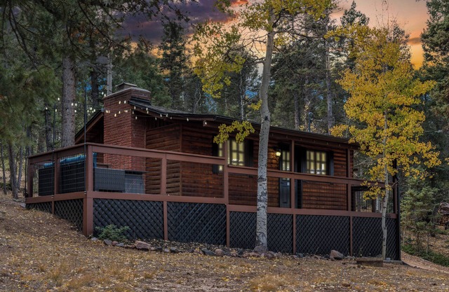 Mini Mountain Retreat surrounded by Trees in enchanting Divide with WiFi