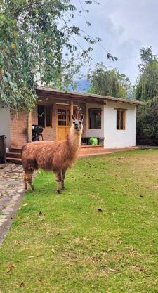 Minicasa Romántica al Pie del Volcán