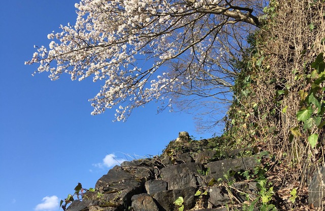 Minsyuku Satoyama