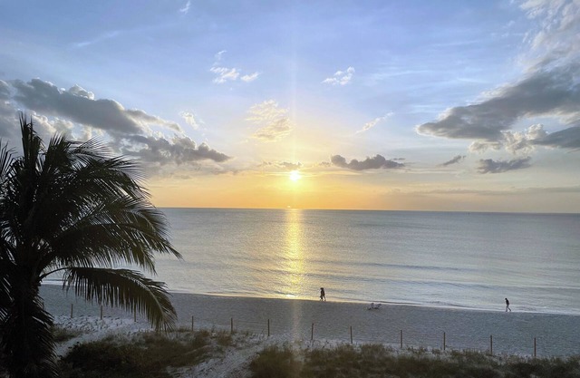 Miracle Mile Beachfront Condo with Saltwater Pool