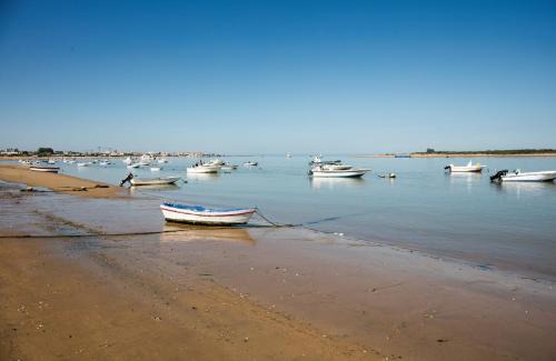 Misterhost Sanlucar Barrio Alto Bodegas