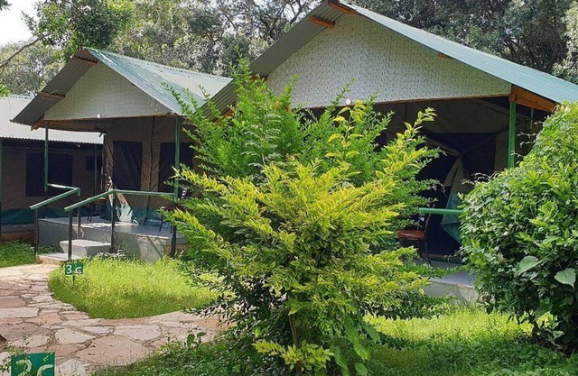 Miti Mingi Eco Camp