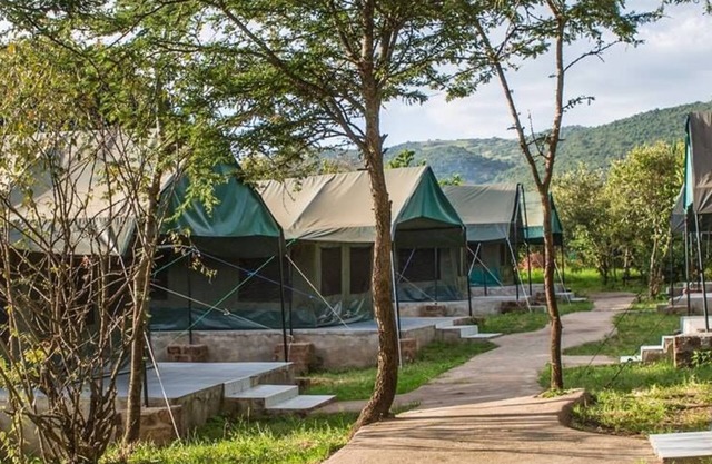 Miti-Mingi Eco Camp Masai Mara