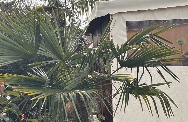 Mobile home between Mimizan and Biscarosse