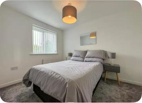 Modern Double Bedroom