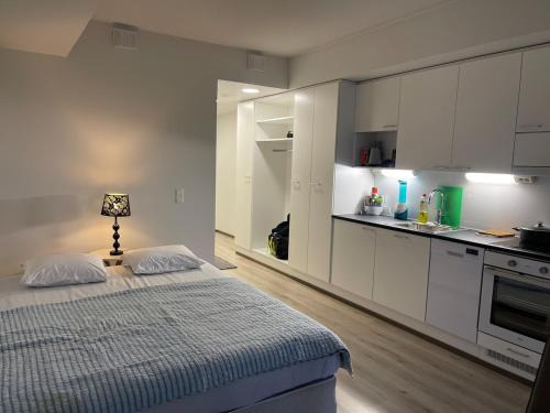 Modern furnished studio