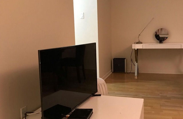 Modern one bedroom condo sleep 4!