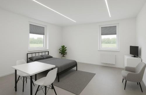 Modernes Einzimmerappartement