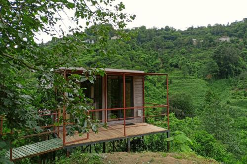 Modular House Green Zyland Gamma