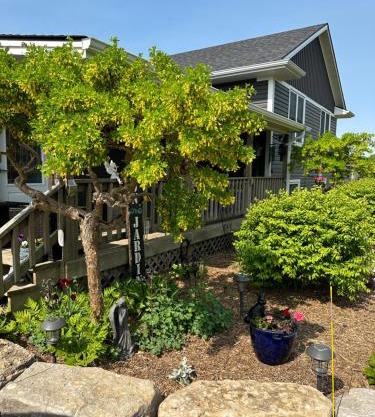 MonJardin Bed and Breakfast