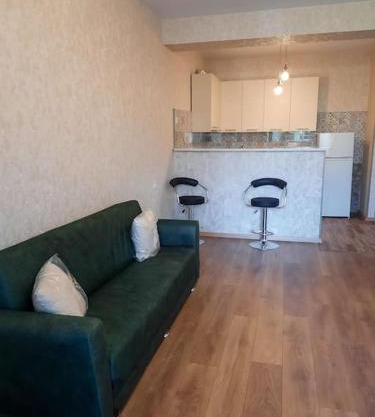 Monthly rent for the Didi Dighomi Apartment