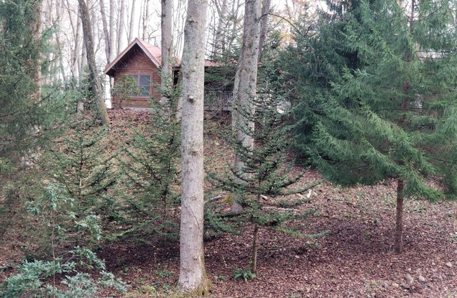 Moose Crossing Tall Woods Cabin, number 3