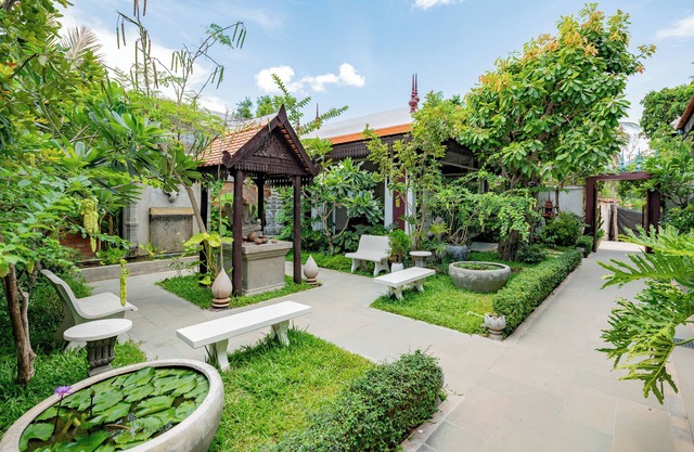 Moringa Tree Maison