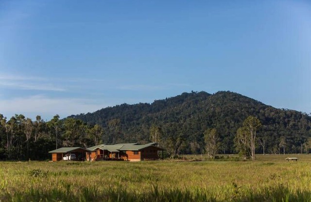Mount Louis Cattle Station
