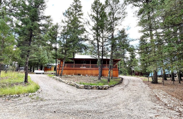 Mountain Cabin Near Cloudcroft Village, Skiing, Hiking, Hunting and Wildlife