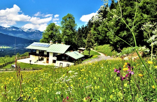Mountain panorama with a view of the valley, totally alpine pasture landscape