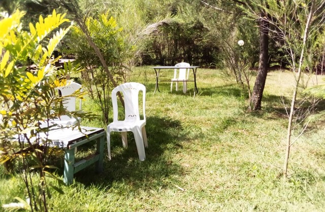 Mseven Gardens M7
