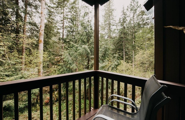 Mt. Baker Lodging Condo 64 - Sleeps 4!