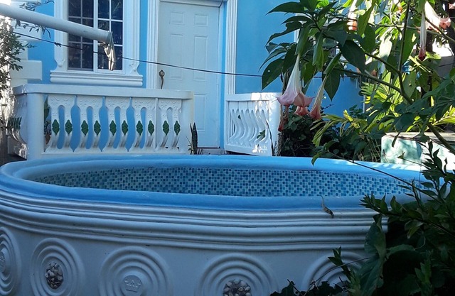 My place is house with jacuzzi near YSFall. Black river Safari. Pelican bar .