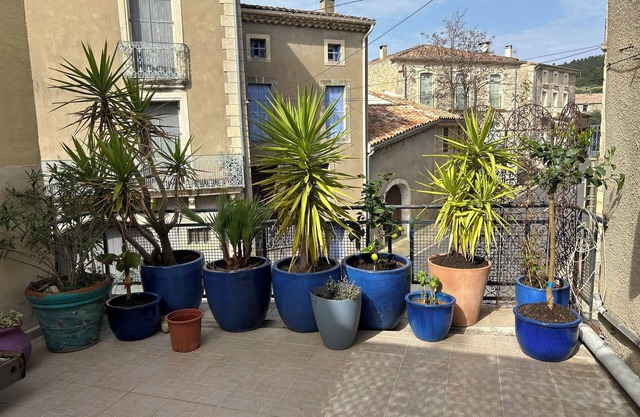 N°14 Causses et Veyran
